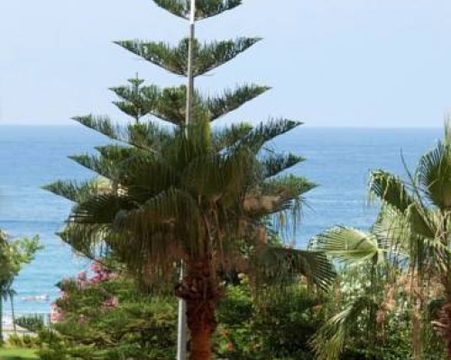 Livane Beach Hotel, Аланья — честный обзор от турагента