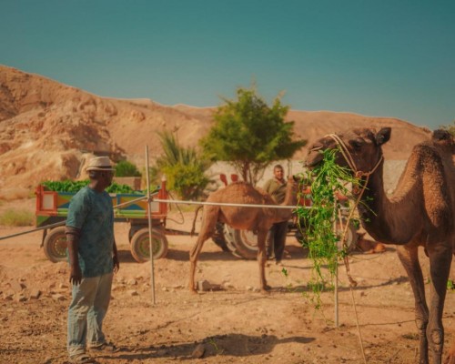 Sheikh Ali Dahab Resort 3* — отель в Дахабе, район Машраба