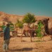 Sheikh Ali Dahab Resort 3* — отель в Дахабе, район Машраба