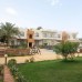 Sheikh Ali Dahab Resort 3* — отель в Дахабе, район Машраба