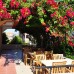 Aral Hotel 3* в Сиде: бюджетный отдых с детьми