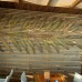 Bora Bora Butik Hotel 3* (Аланья, Турция): взгляд турагента