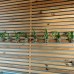 Bora Bora Butik Hotel 3* (Аланья, Турция): взгляд турагента