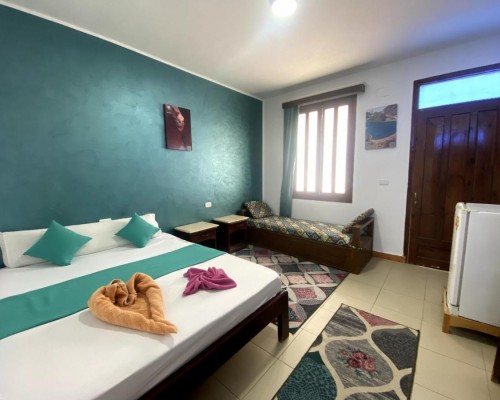 Octopus Resort в Дахабе: что это за отель на самом деле