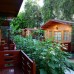 Sevkibey Hotel 2* в Аланье: честный обзор от турагента