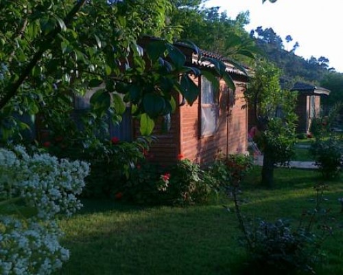 Отель Hidden Garden в Калкане: что важно знать до бронирования