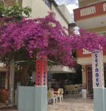Sefabey Hotel  3*