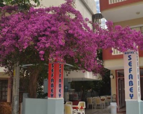 Sefabey Hotel 3* (Аланья): что важно знать перед подбором тура
