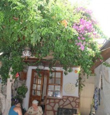 Mine Pansiyon 