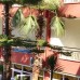 Отель Semoris 3* в Сиде: честный разбор от турагента