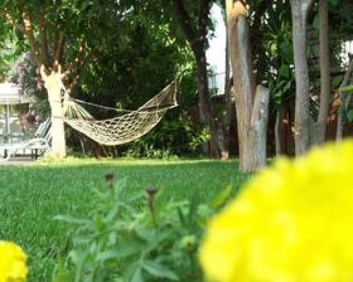 Hotel Vanilla, Фетхие: что это за отель на самом деле