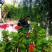 Emelce Apart в Бодруме: апартаменты для пляжного отдыха