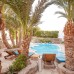 Dahab Divers — отель в Дахабе с дайвинг-центром и бассейнами