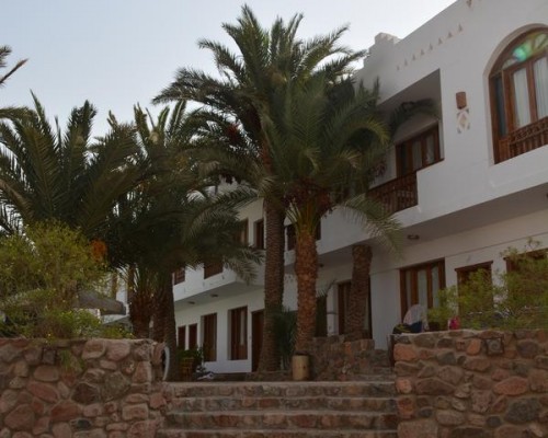 Dahab Divers — отель в Дахабе с дайвинг-центром и бассейнами
