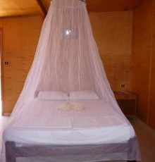 Dolphin Camp