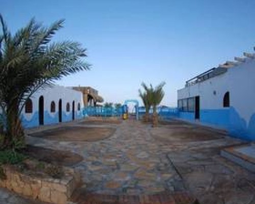 Dolphin Camp в Дахабе: честный обзор отеля