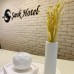 Savk Hotel 4* в Аланье: честный обзор от турагента