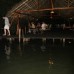 Nature Resort & River Safari в Хиккадуве: что там на самом деле