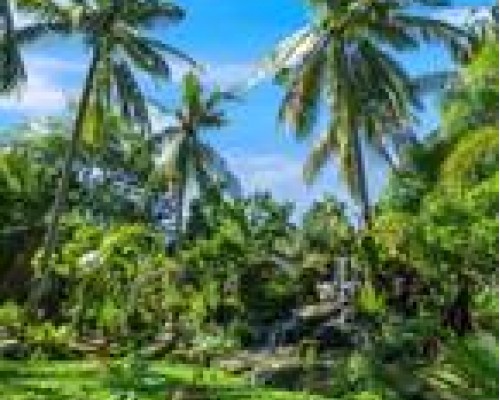 CocoPalm Beach Resort & Spa 3* — Фукуок, Вьетнам