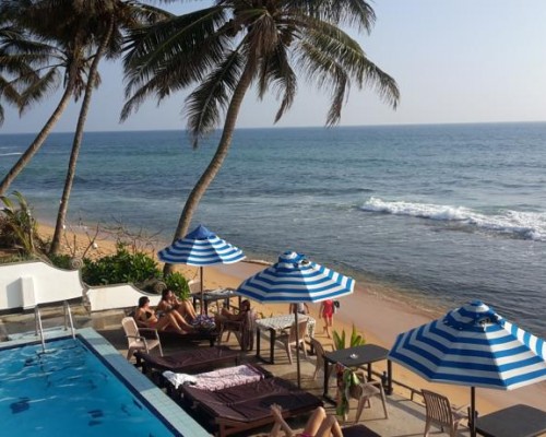 Nippon Villa Beach Resort 2* — Хиккадува, Шри-Ланка