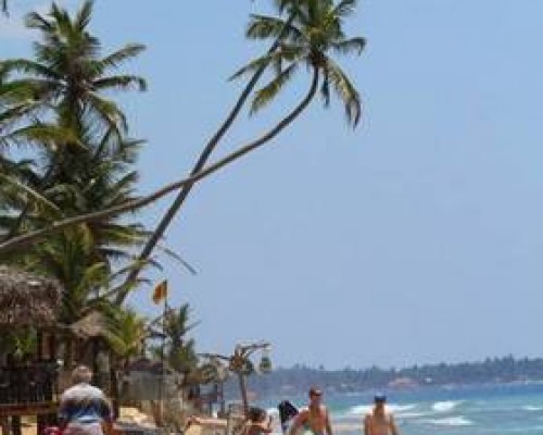 Time n Tide Beach Resort в Хиккадуве: честный обзор отеля 2*