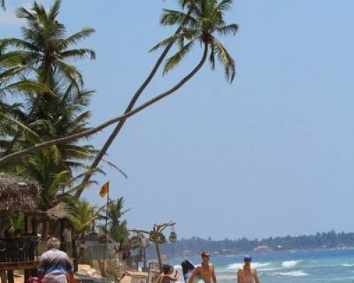 Time n Tide Beach Resort в Хиккадуве: честный обзор отеля 2*