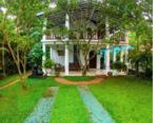 Mothers Place Nimala 3* в Хиккадуве — честный обзор отеля