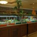 Meder Resort Hotel 5* в Кемере — подбор тура с турагентом Галиной