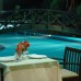 Meder Resort Hotel 5* в Кемере — подбор тура с турагентом Галиной