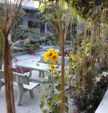Duc Thao Guest House