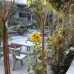 Duc Thao Guest House в Фантхьете: что важно знать перед бронированием