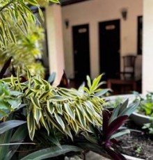 Miltons Beach Resort, Unawatuna 3*