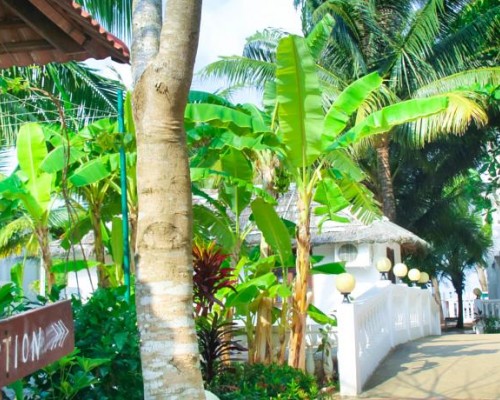Paris Beach Resort 3* на Фукуоке: что важно знать