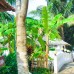 Paris Beach Resort 3* на Фукуоке: что важно знать