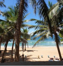 Oasey Beach Hotel 3* Oasey Beach Hotel 3*