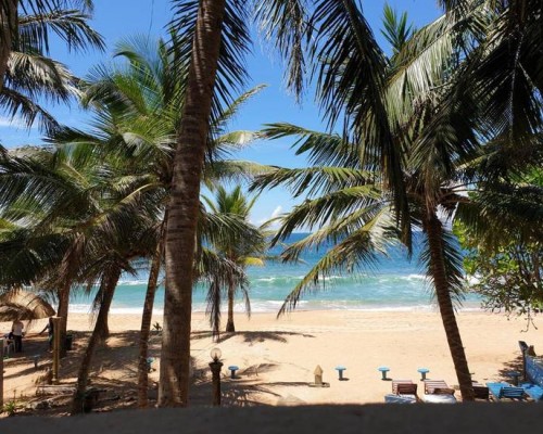 Oasey Beach Hotel 3* в Бентоте — честный обзор отеля