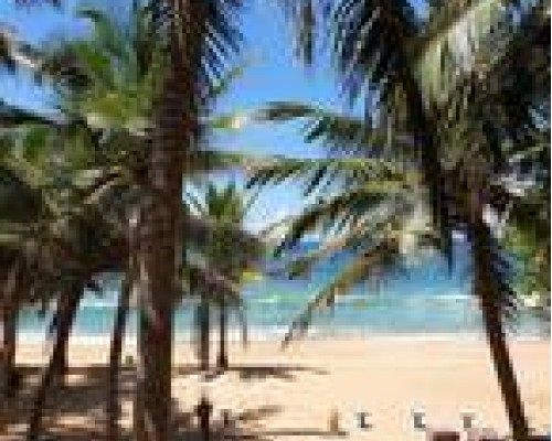 Oasey Beach Hotel 3* в Бентоте — честный обзор отеля