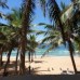 Oasey Beach Hotel 3* в Бентоте — честный обзор отеля