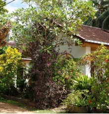 Tandem Guesthouse 1*