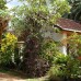 Tandem Guesthouse в Хиккадуве: простой гостевой дом у пляжа