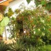Tandem Guesthouse в Хиккадуве: простой гостевой дом у пляжа