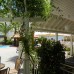 Отель Hawaii 4* в Мармарисе: честный обзор для подбора тура