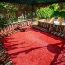 RK Magic Dream Hotel 4* в Кемере: честный обзор от турагента