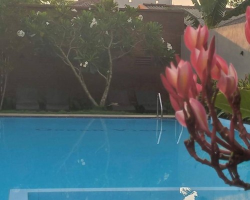 Ocean View Tourist Guest House 2* в Негомбо: честный обзор