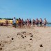 Alaiye Resort & Spa 5* — семейный отдых в Аланье