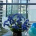 Sanya Sea Dream Holiday Apartment на Хайнане: что это за размещение