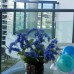 Sanya Sea Dream Holiday Apartment на Хайнане: что это за размещение