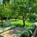 Sunset Pension and Apartments, Чирали (Кемер): честный обзор и подбор тура