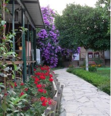 Chocolate Lodge Pension