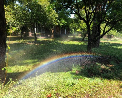 Cirali Almira Bungalow: бунгало в Чирали для спокойного отдыха